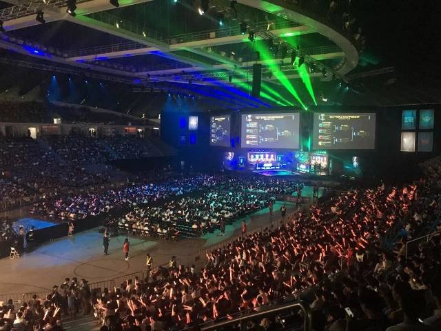 的全能表现 的全能表现