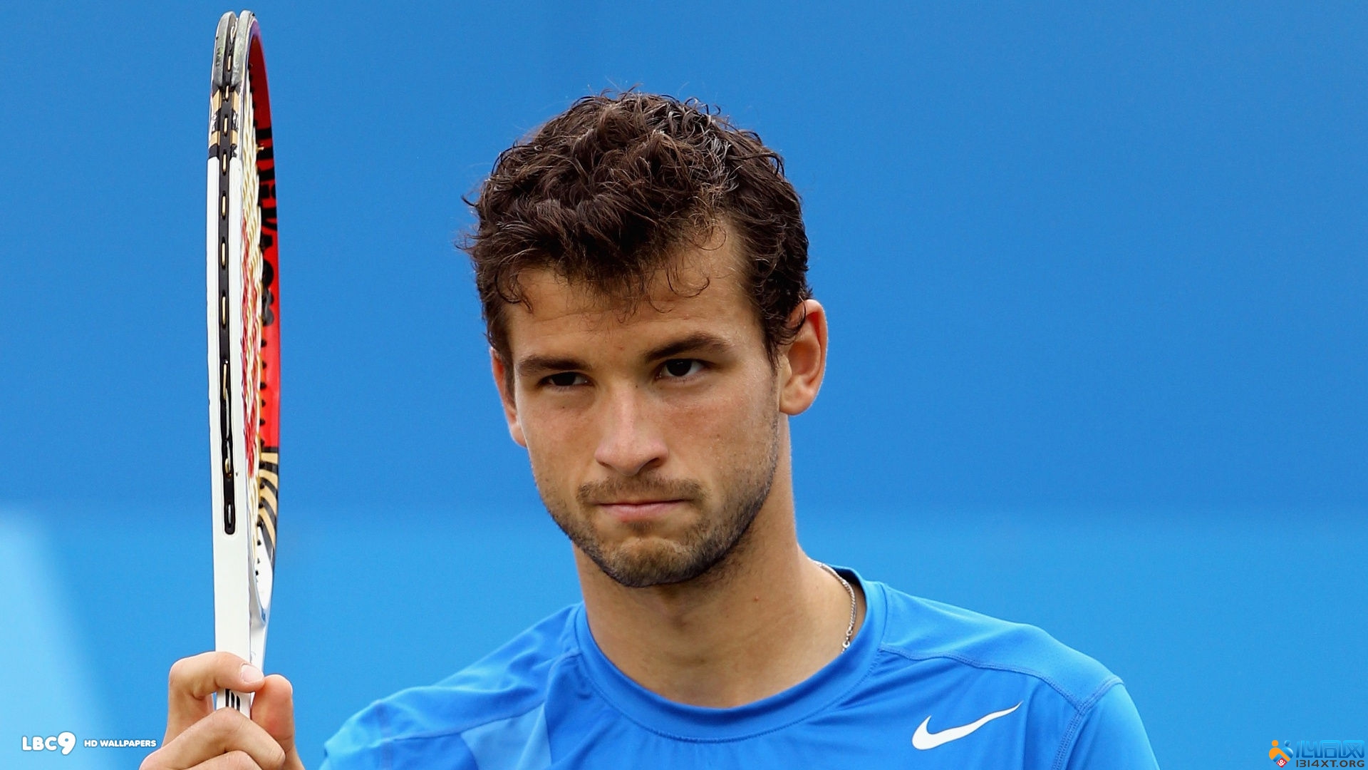 真实概率 真实概率